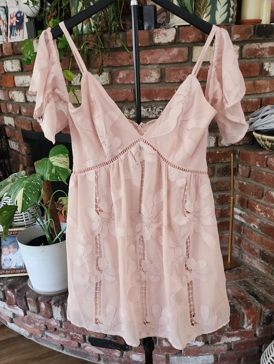 Lovers + Friends Dresses & Skirts - Lovers + Friends Blush Pink Floral Lace Mini Dress